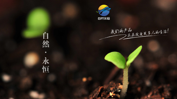 自然永恒土雞蛋宣傳廣告設計