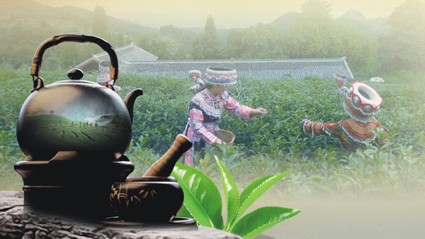 敘永縣茶文化節(jié)四折頁宣傳廣告設計
