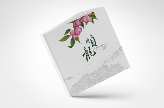 順龍城市形象畫冊(cè)