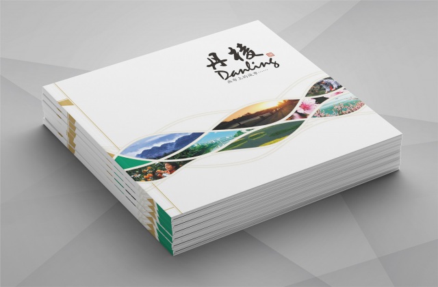 丹棱縣城市形象宣傳畫冊(cè)設(shè)計(jì)