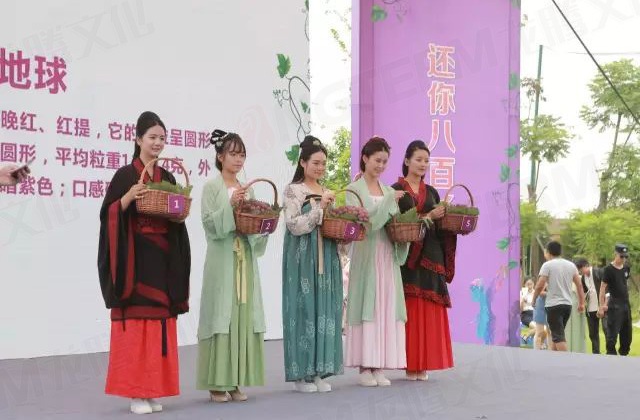 繽紛葡萄節(jié)，打響彭山旅游第一炮！