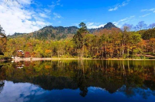 雅安市石棉縣保護(hù)區(qū)成立20周年成果展現(xiàn)宣傳片《栗子坪國(guó)家級(jí)自然保護(hù)區(qū)成立 20 周年回顧》制作內(nèi)容