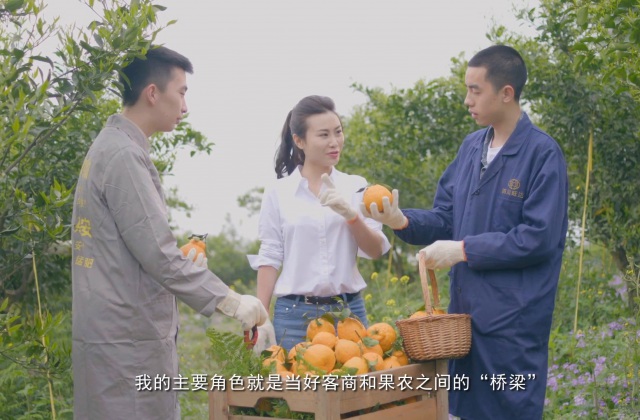 “橙就美好”丹棱丑柑宣傳片——盧婷專題片